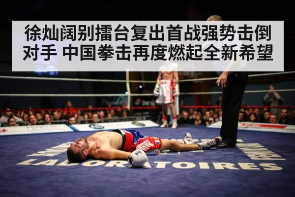 boxer knockout